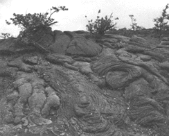 Pahoehoe. SOURCE: U.S. Geological Survey